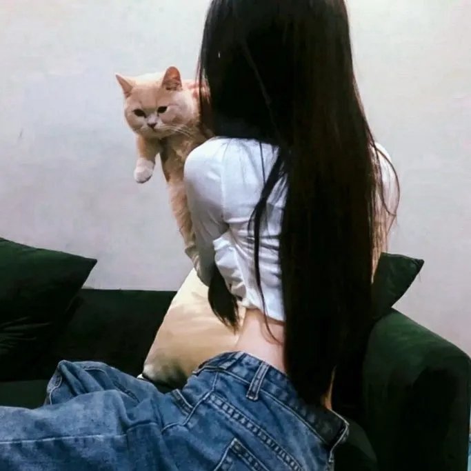 小飞的梦想